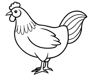 hen and rooster