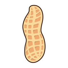 Tasty peanut isolated on white background, flat style vector illustration.
