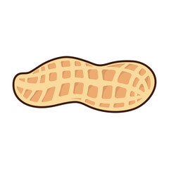 Tasty peanut isolated on white background, flat style vector illustration.