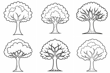 Cape Chestnut Tree Outline Coloring Book Page – Line Art Drawing Set on White Background