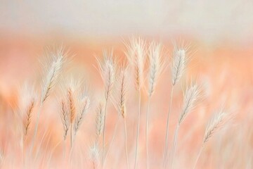 Fototapeta premium Delicate wheat stalks rise against a soft, peach-colored background, creating a peaceful and ethereal atmosphere with focus on natural beauty and tranquility.