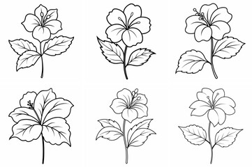 Obraz premium Hibiscus Flower Plant Outline Coloring Page - Line Art Drawing Set on White Background
