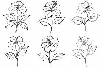 Hibiscus Flower Plant Outline Coloring Page - Line Art Drawing Set on White Background