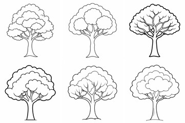 Hickory Tree Outline Coloring Page - Line Art Drawing Set on White Background