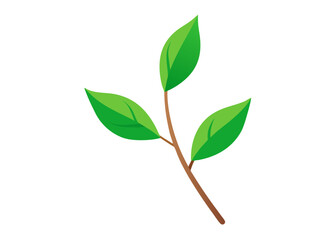 Fototapeta premium Fresh green leaves isolated on white signify natural spring growth