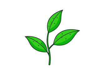 Obraz premium Fresh green leaf isolated against a white backdrop evokes spring's new growth