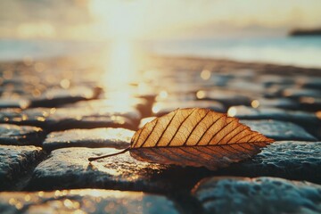 A single leaf rests on a wet cobblestone path as the sun sets over the water, creating a bokeh effect.