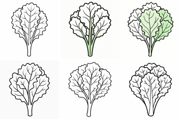 Vegetable Outline Coloring Page - Line Art Drawing Set on White Background