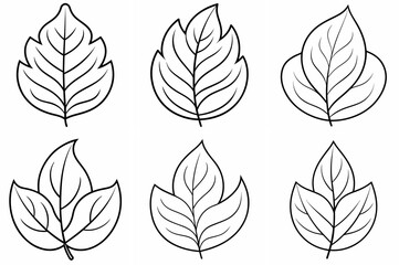 Fototapeta premium Leaf Outline Coloring Book Page – Line Art Drawing Set