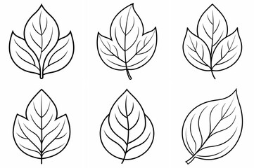 Leaf Outline Coloring Book Page &ndash; Line Art Drawing Set