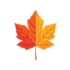 Fototapeta premium Vibrant autumn maple leaf in flat style vivid orange and red hues isolated on white background