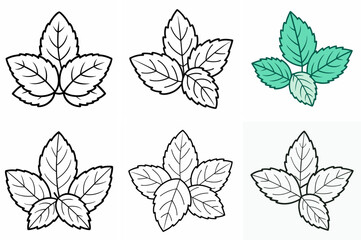 Fototapeta premium Mint Leaves Outline Coloring Book Page Line Art Drawing Set
