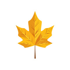 Vivid fall birch leaf in golden yellow minimalist style Perfect for autumn designs