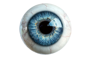 Detailed Close-up of Human Eye with Vibrant Blue Iris and Texture