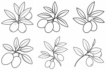 Olives Twigs and Leaves Outline Coloring Book Page Line Art Drawing Set