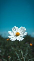 beautiful wallpaper with a refreshing nature theme