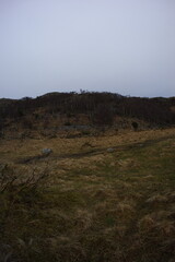 Tjørnakovtjørna lake in Norway, Jaanuary