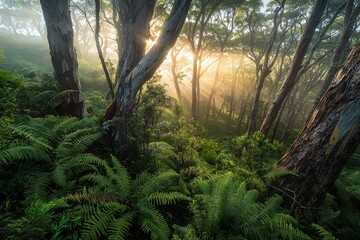 Serene misty morning in lush green forest with sunlight filtering through trees