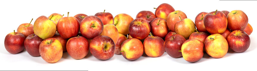 Bountiful harvest of fresh red and golden apples arranged beautifully on a white background