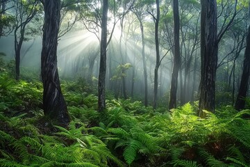 Obraz premium Sunlit forest canopy with lush ferns and misty rays - tranquil nature scene