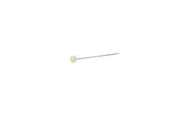 Pin Isolated on a Transparent Background PNG	
