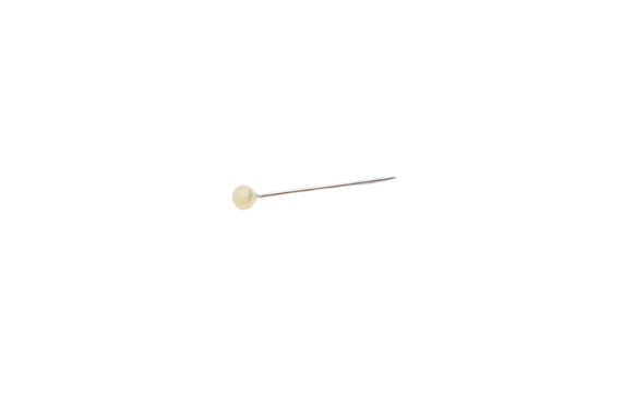 Pin Isolated on a Transparent Background PNG	
