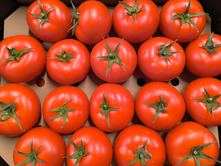 Red tomatoes. Qualitative background from tomatoes. Fresh tomatoes