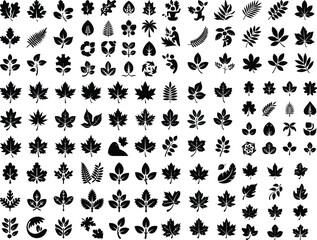 Tropical Leaves Set. Vector Illustration Collection of Tropical Leaf Silhouettes. Echotic Jungle Palm Leaves in Black Silhouette on a White Silhouettes tropical plants Tropical leaves silhouette 