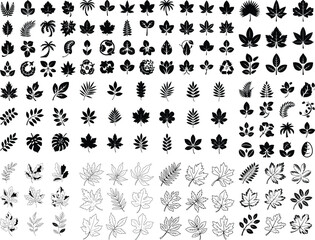Tropical Leaves Set. Vector Illustration Collection of Tropical Leaf Silhouettes. Echotic Jungle Palm Leaves in Black Silhouette on a White Silhouettes tropical plants Tropical leaves silhouette 