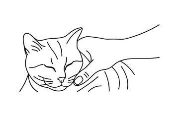 Gentle Hand Stroking a Relaxed Sleeping Tabby Cat