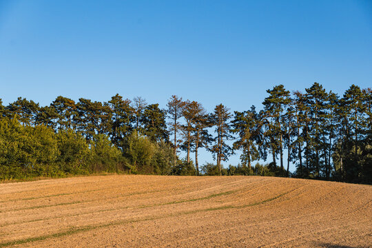 Landscape with an empty field in front of trees