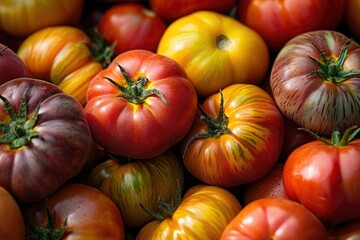 A colorful and close-up view of heirloom tomatoes with varying shades of red, yellow, purple, and green, showcasing their fresh, rustic appeal.