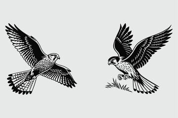 a kestrel hovering in mid air silhouette vector design art and illustration