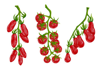 Set of juicy, ripe cherry tomatoes on green branches. Vector graphics.