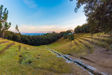 Bosque dorado en la ciudad de huancayo