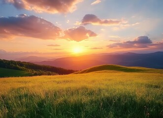 Sunset illuminating carpathian mountains with golden meadow in foreground