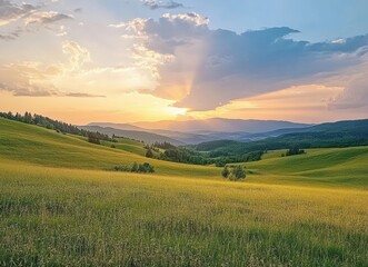Obraz premium Sunset illuminating rolling hills and green grass in the carpathian mountains