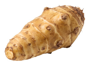 A single earthy Jerusalem artichoke, showcasing its unique knobbly texture and pale beige color against a stark white background, highlighting its natural, rustic beauty. AI Generative