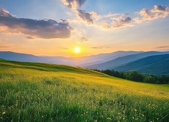 Obraz premium Sunset illuminating rolling hills and meadow in the carpathian mountains
