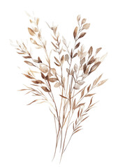 Fototapeta premium Watercolor brown dried plant clipart, white isolated background, png