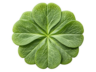 Unique green leaf pattern for nature themes and designs on a transparent background, cut out