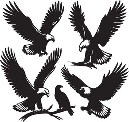 Obraz premium eagle silhouettes vector white background