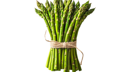 Fresh green asparagus bundle tied with twine on plain white background
