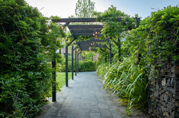 A landscaped garden pathway featuring a pergola structure with climbing vines and a stone tile walkway, flanked by lush green plants. A corridor with a modern black frame structure,hardscaping design.