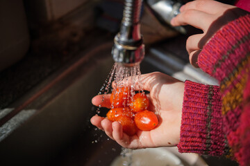 Child Washing Cherry Tomatoes Under Running Water.