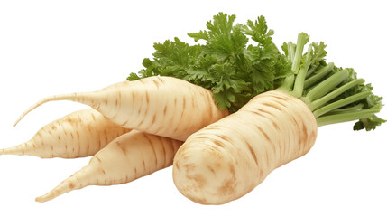 Organic parsnip on plain white background with no shadows