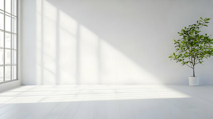 Bright Minimalist Interior With Large Windows And Plant