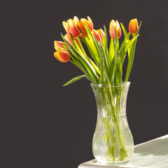Bouquet of red tulips flowers in glass vase on black background