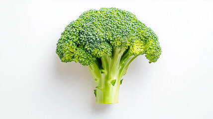 白背景に配置されたブロッコリーのフラットレイ構図