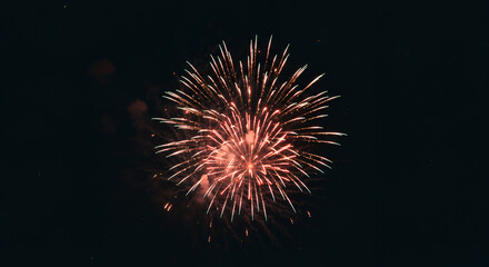 Spectacular Firework Display Lighting Up the Night Sky with Vivid Colors